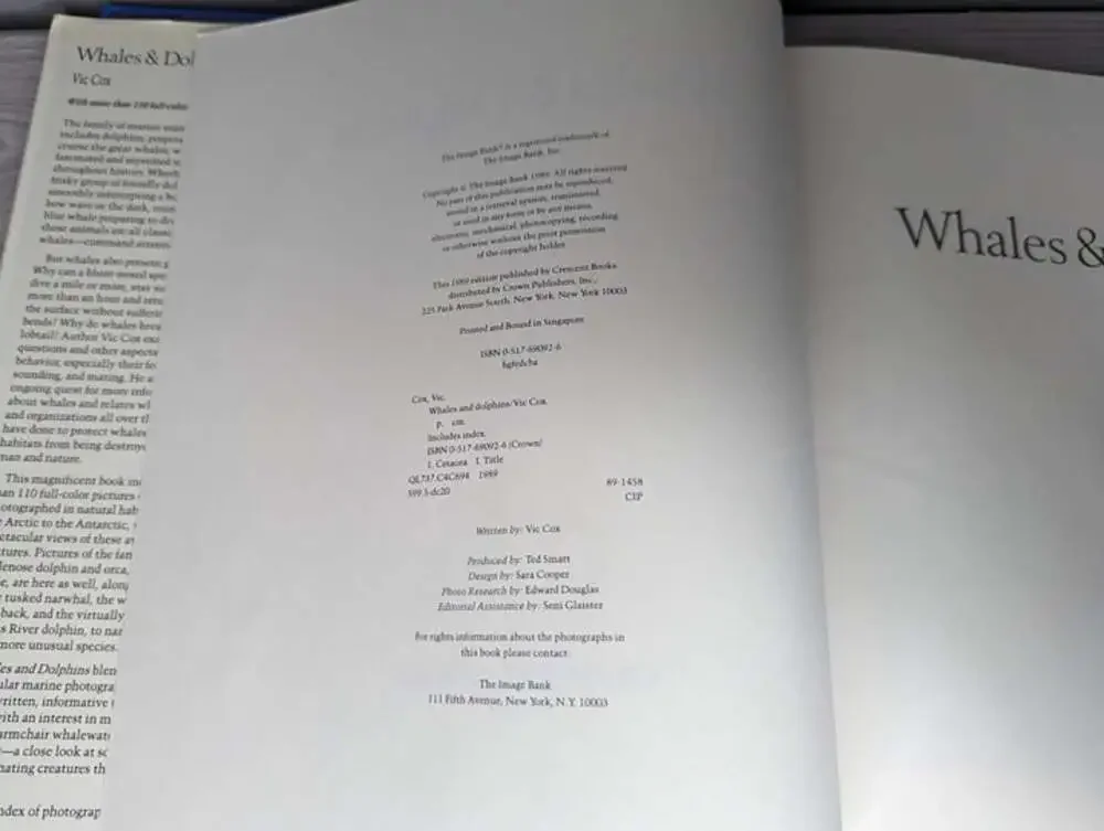 Whales & Dolphins Hardcover Book
